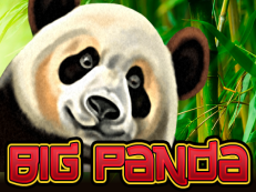 big panda