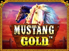 mustang gold