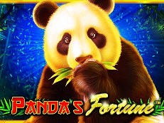 panda fortune