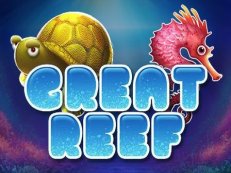 great reef