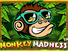 monkey madness