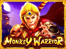 monkey warrior