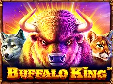 buffalo king