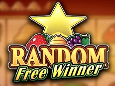 Random Free Winner gokkast